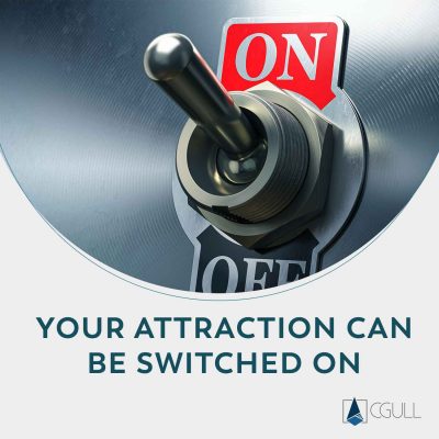 attraction-switch